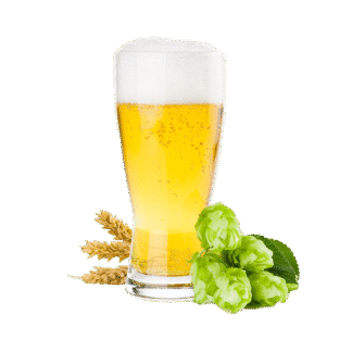 bierbrouw pakket